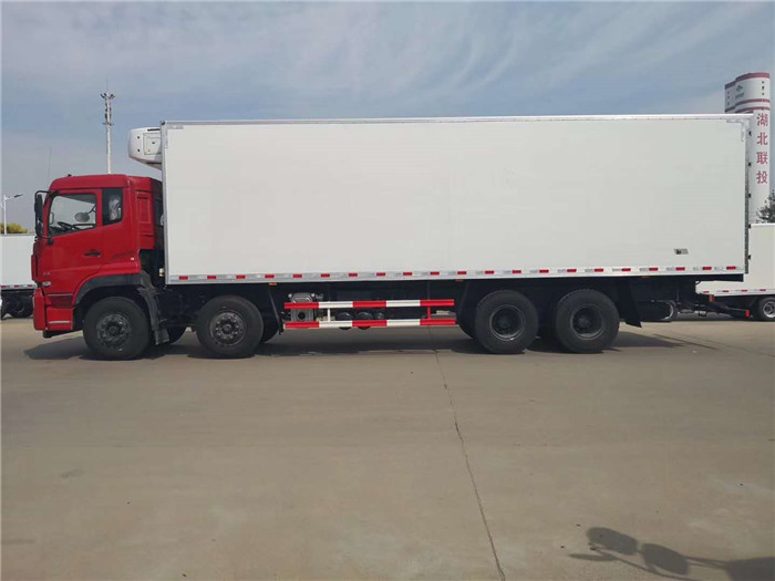 東風(fēng)天龍9米6冷藏車