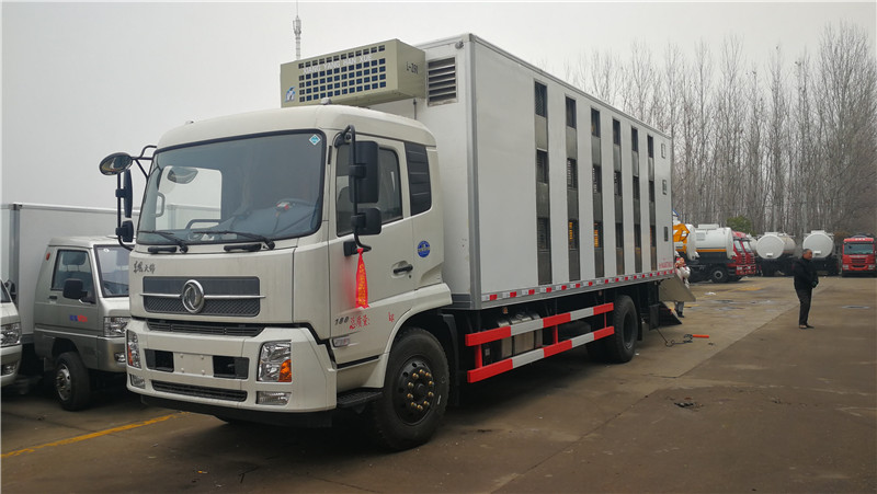 東風(fēng)天錦豬苗運輸車